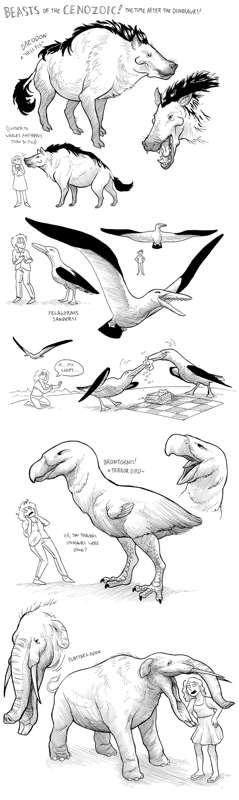 A Handful Of Cenozoic Critters