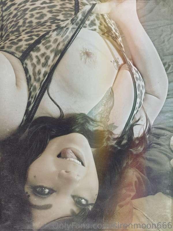 sirenmoon666 image #2