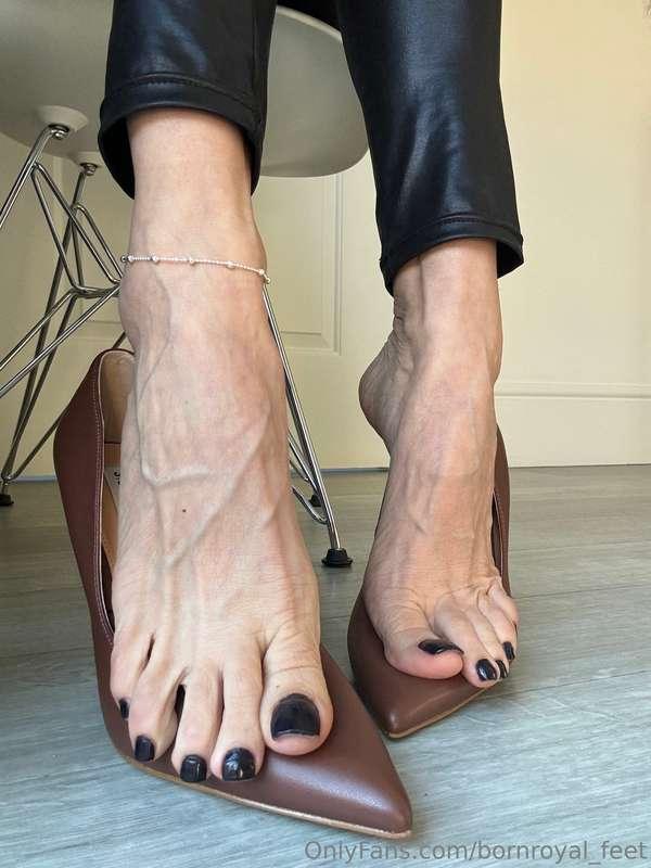 Veins and arches 