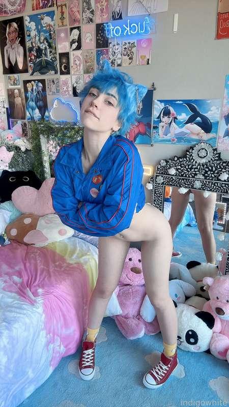indigowhite image #195