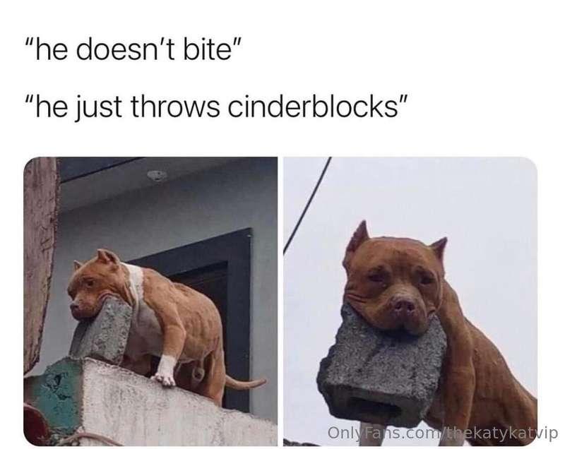 Meme of the Day!