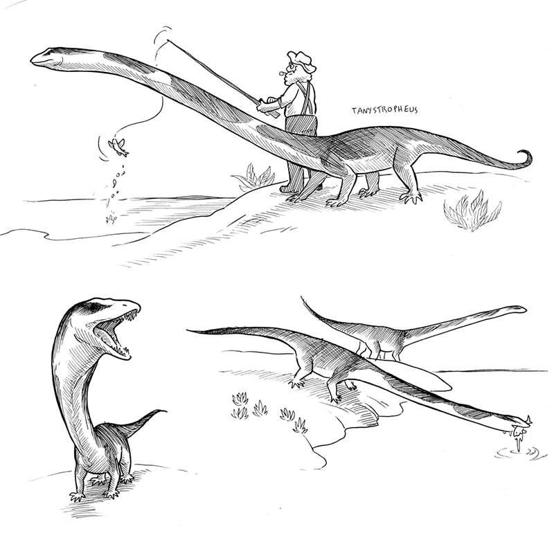 Extinct Creatures-- Tanystropheus