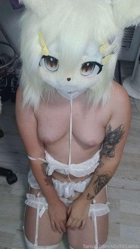 idylliclamb image #12