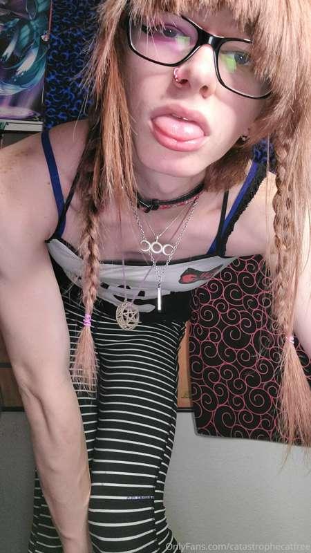 catastrophecatfree image #1