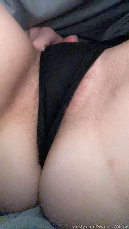 sweet_willow image #0