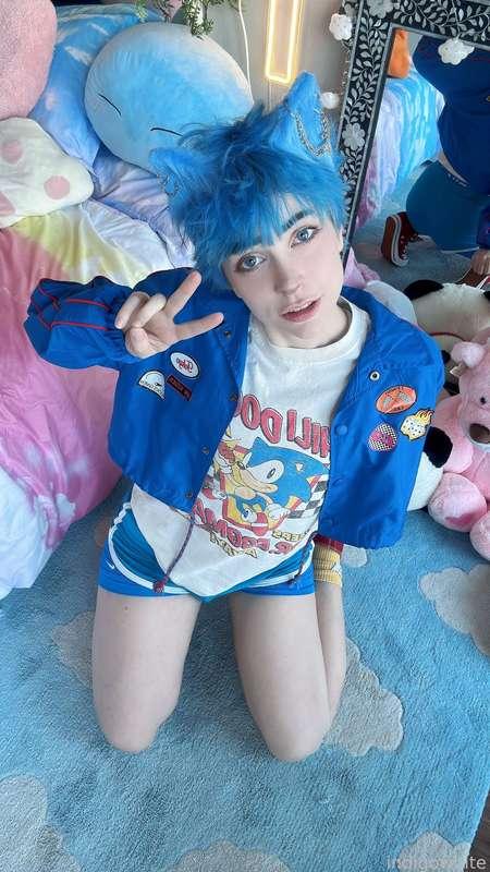 indigowhite image #248