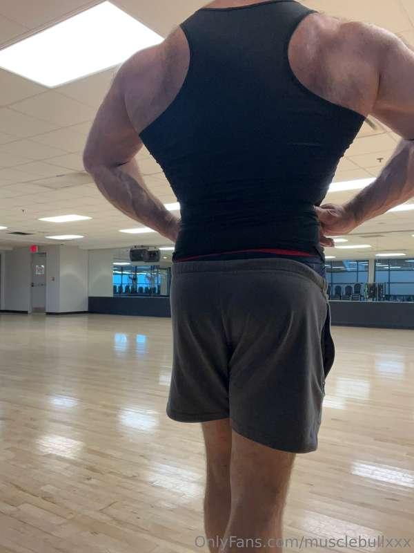 musclebullxxx image #4