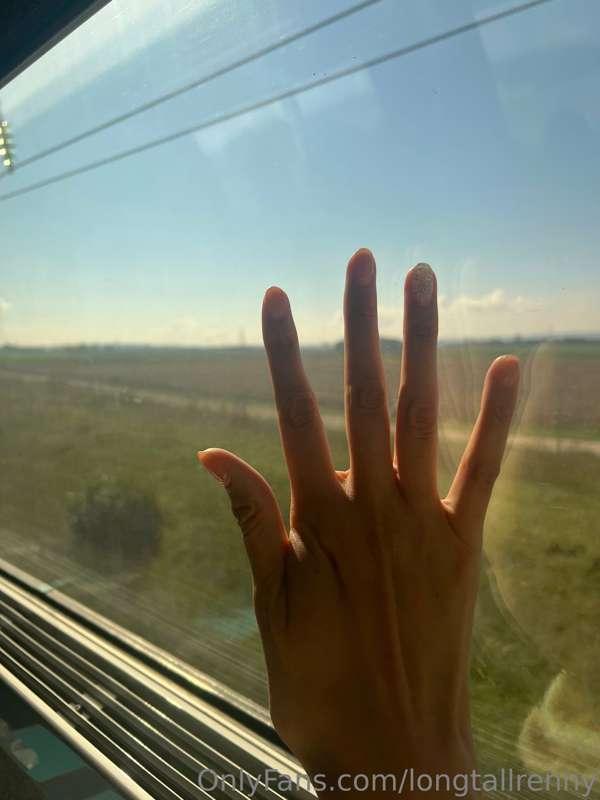 🤚