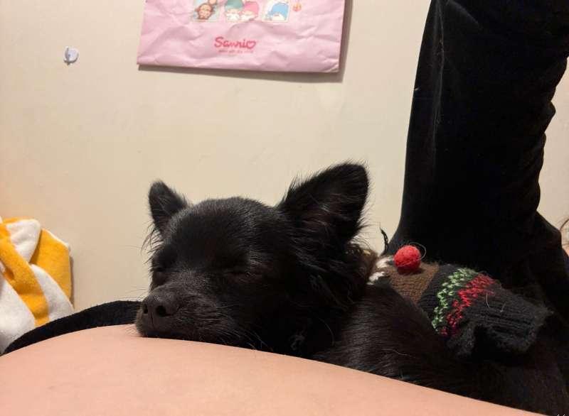 Warm & Snuggly