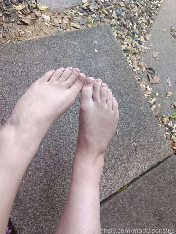 maddisonsins image #3