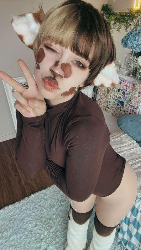 indigowhite image #133