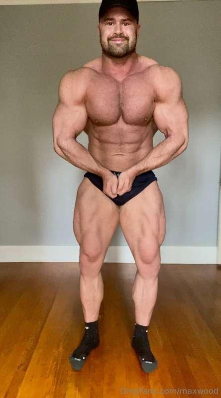 It’s bear season 🧸🐻