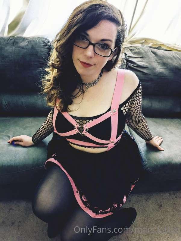 mars.kitten image #2