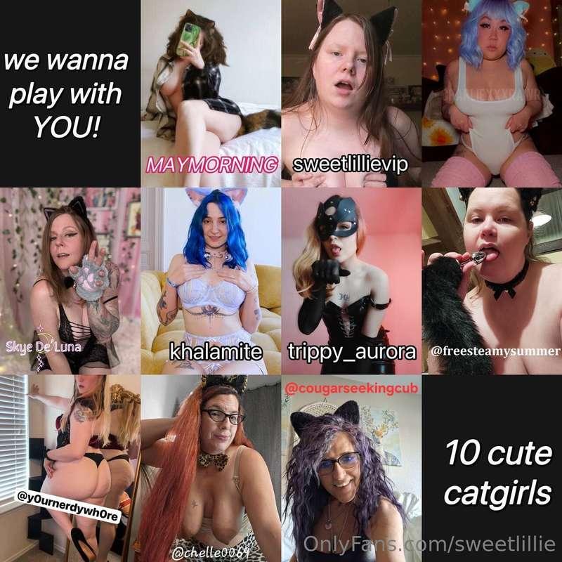 We have little tails, cute ears and lovely paws! 10 catgirls..