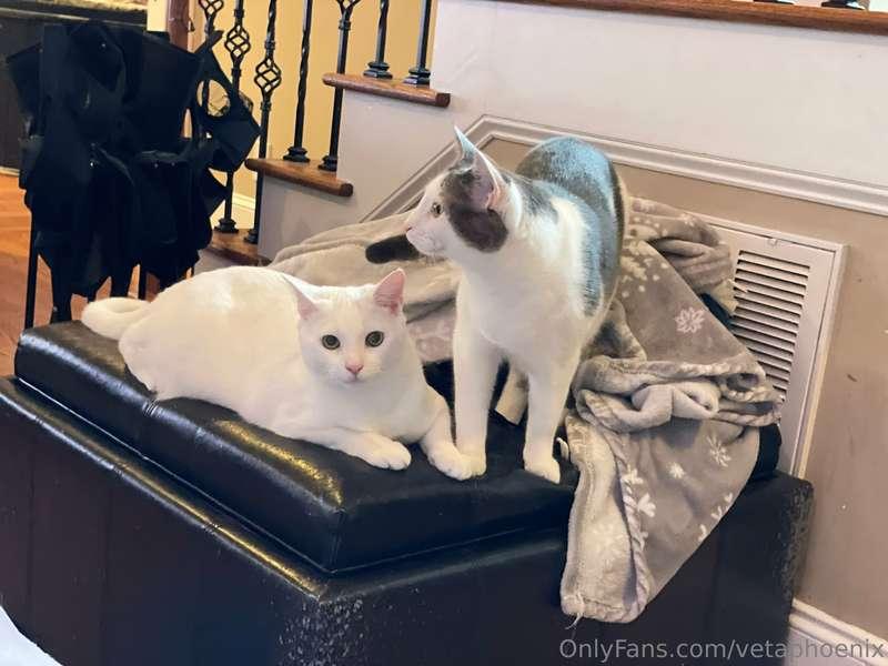 I’m so in love with these guys. They are brothers and we got..