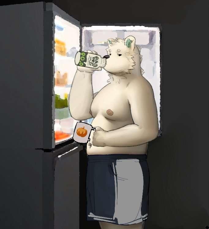 Fridge