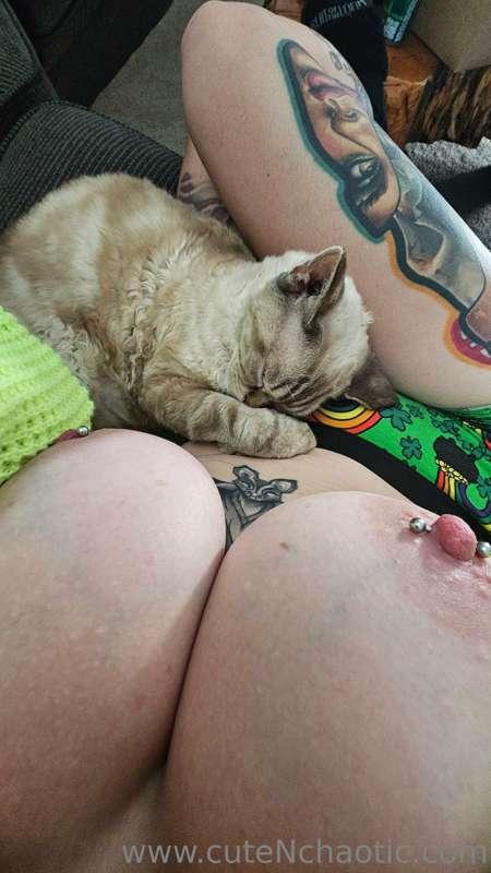 Tiddies and a kitty 💗 
Today was another rest day for me. I'..