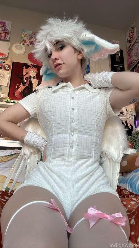 indigowhite image #30