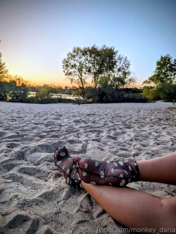 monkey_daria image #6