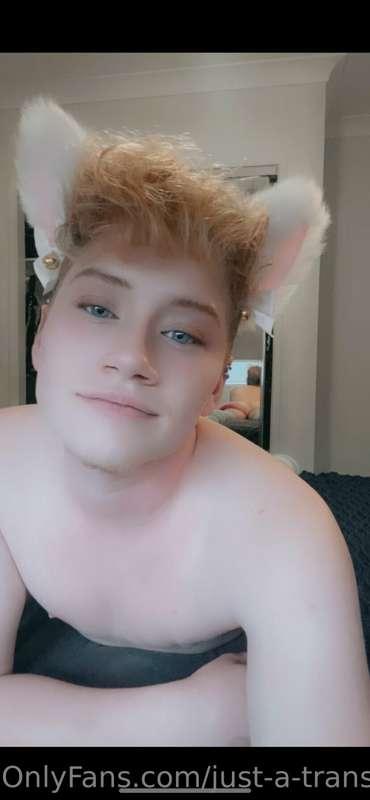 just-a-trans-guy image #3