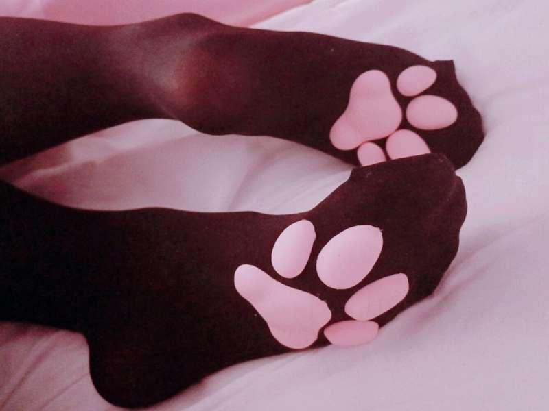 leaving pretty little pawprints all over ur face with these~