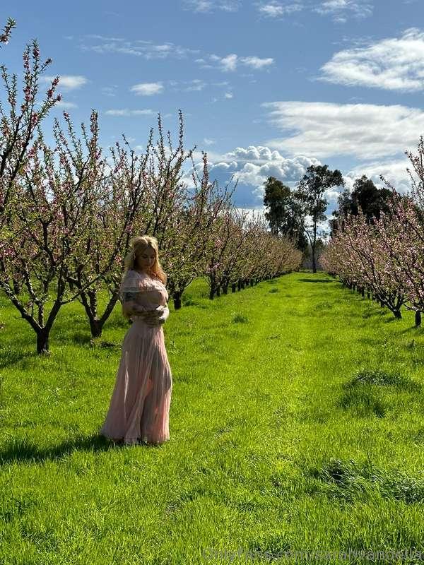 🌸🌸🌸 Cherry blossoms BTS for you part 2 heehee 🌸🌸🌸