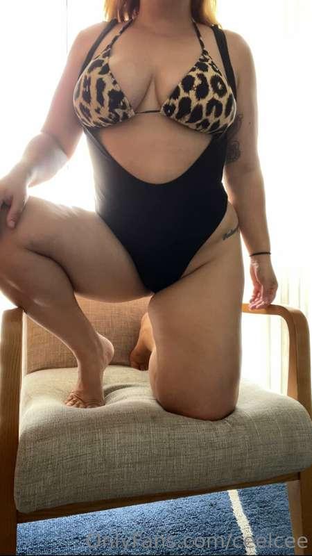 ceelcee image #3