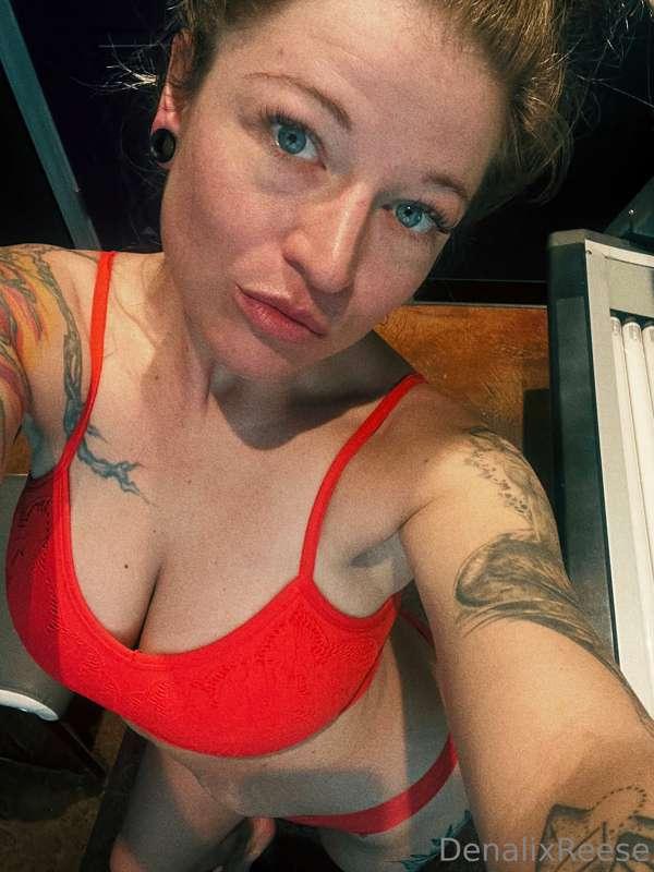 denalireese image #6