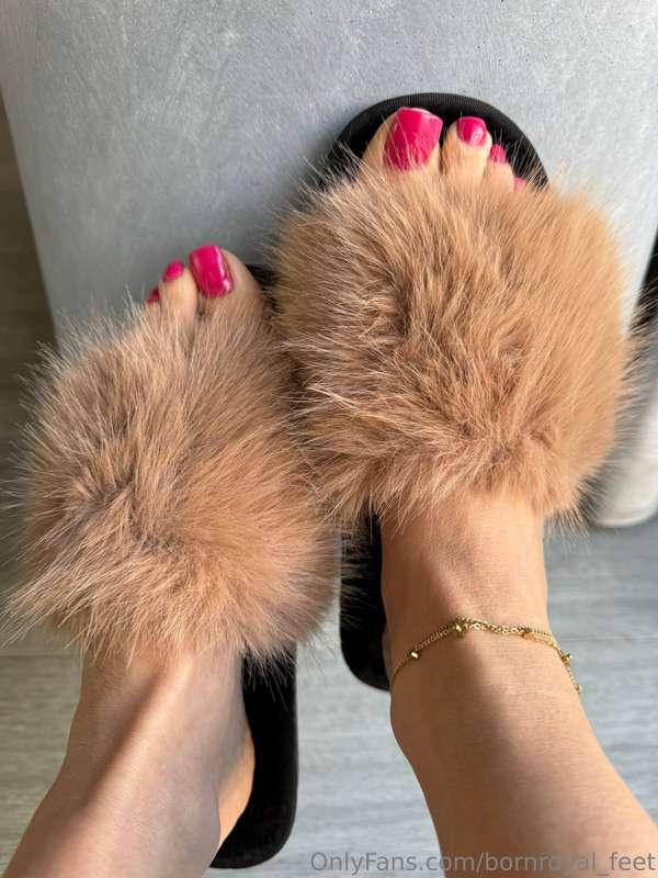 bornroyal_feet image #4