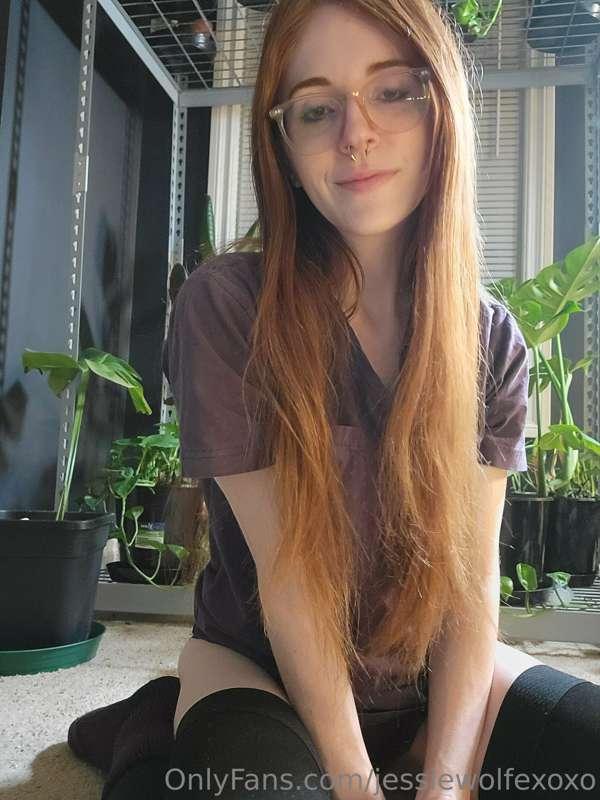 jessiewolfexoxo image #0