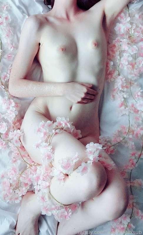 succubusxsub image #3