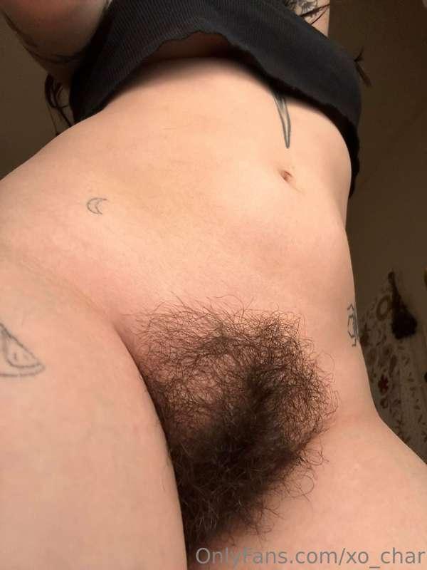 How’s my bush lookin?