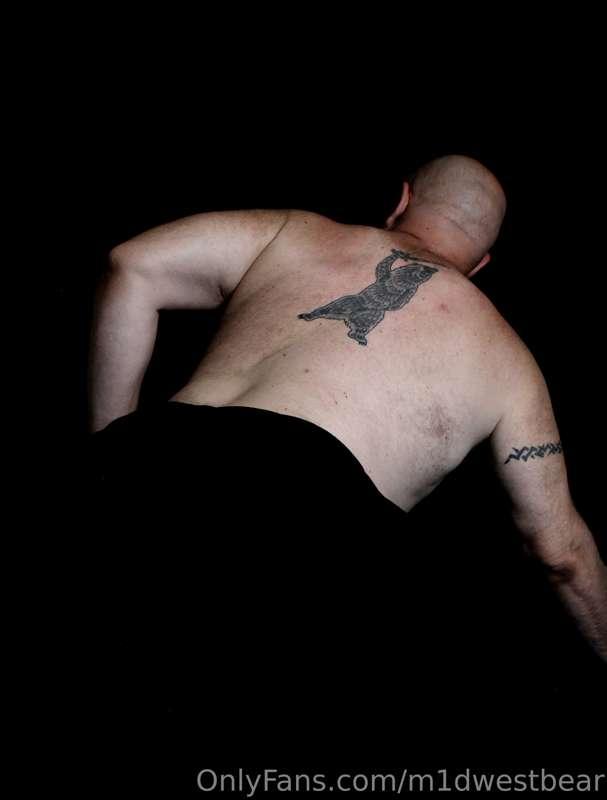 m1dwestbear image #22