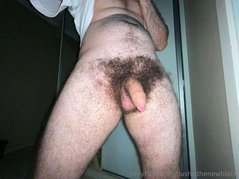 bushisthenewblack image #0