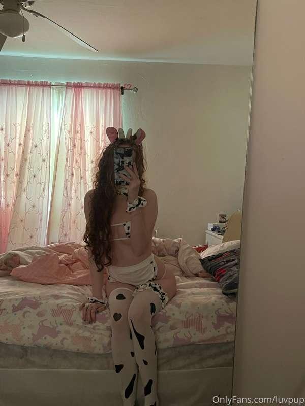 mooooo