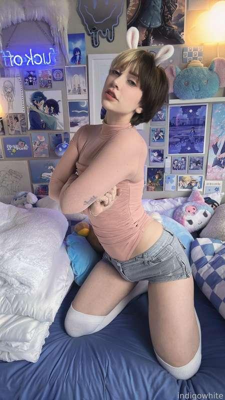 indigowhite image #8