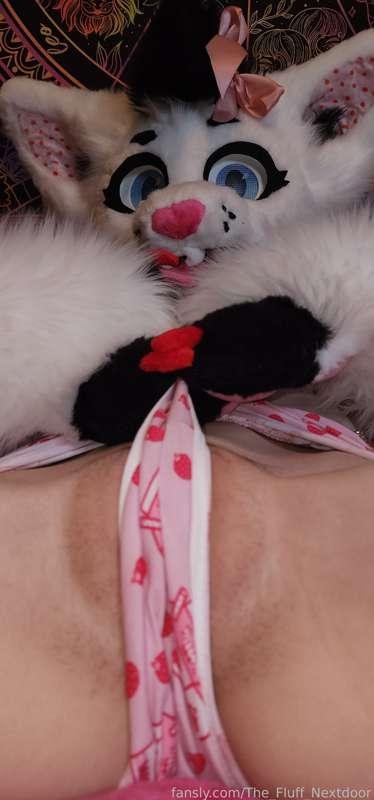 the_fluff_nextdoor image #5