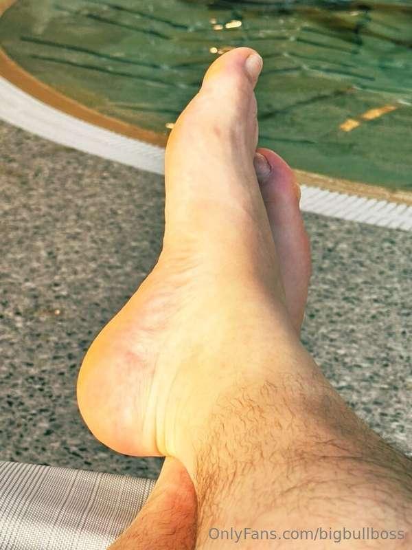 Bull feet.