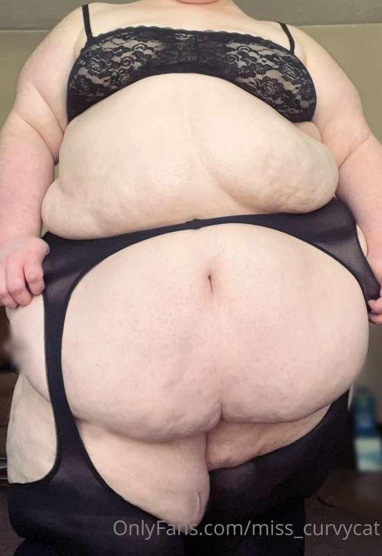 miss_curvycat image #1