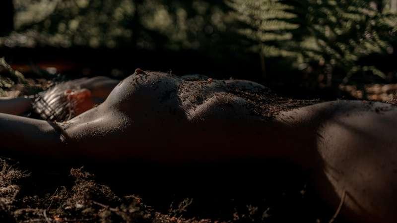 Dottir - Lake & Forest :Photos