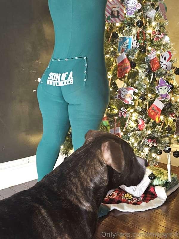 🎄🎄🎄