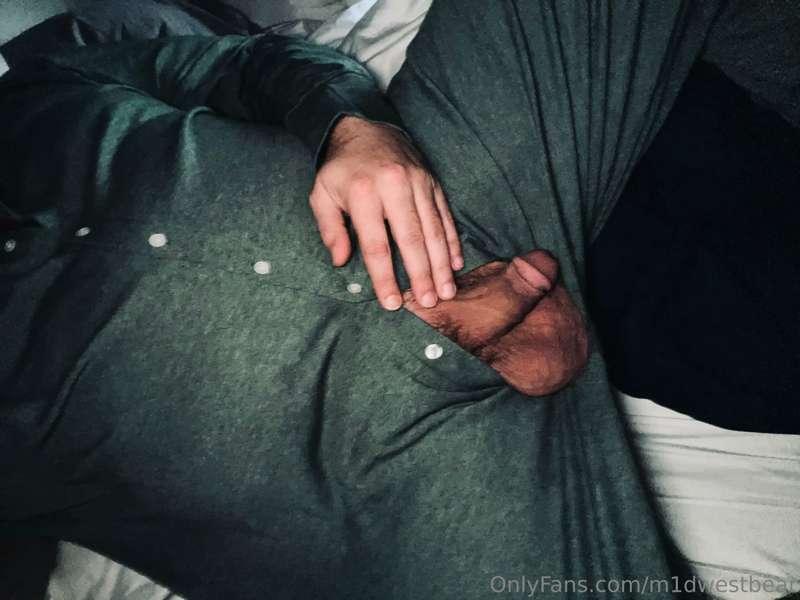 m1dwestbear image #0