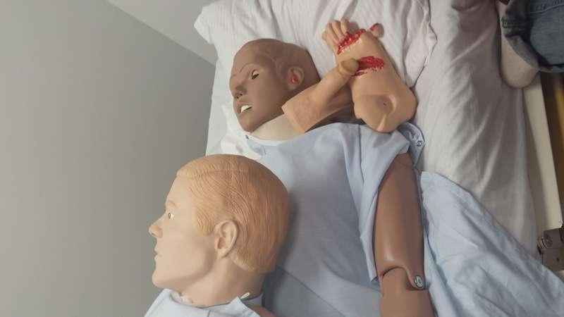 Something Terrible Has Happened at the Dummy Hospital