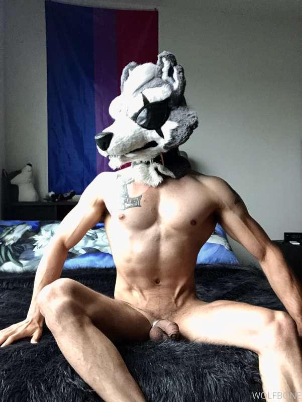 Glorious morning for the wolf overlord  👑 🐺