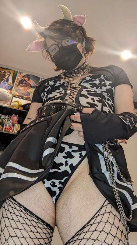 catboyzion image #1