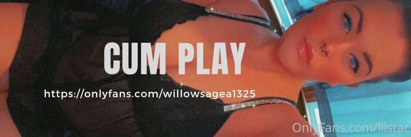 @willowsagea1325