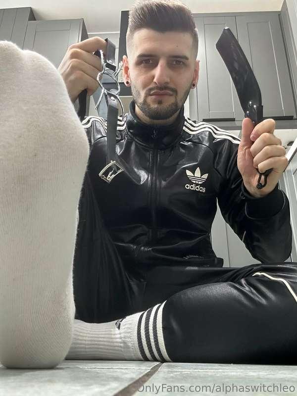 alphaswitchleo image #1