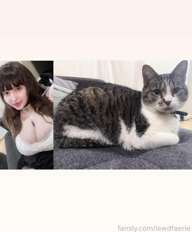 ⚠️ EMERGENCY ⚠️
im having a pet emergency and need to figure out how to make at least $500 to afford care for my cat elise. she's really sick and is passing red fluid. i'll be taking her in tomorrow. plz if anyone at all is able or willing to help out with the costs by donating or commissioning me