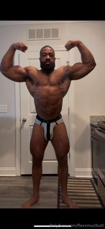 Just an update before I start a bulk. Currently 230 pounds.