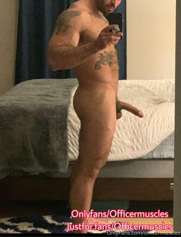 Cuz you asked for “more cock”